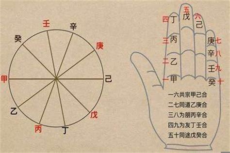 八字通根|简析八字命理中的通根 – 八字坐库通根方法